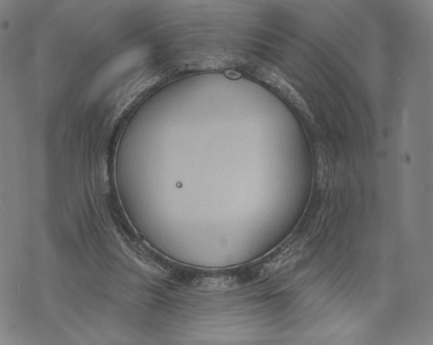 X0000071800251200607211654