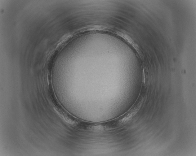 X0000071800253200607211654