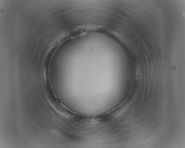 X0000071800254200607211654