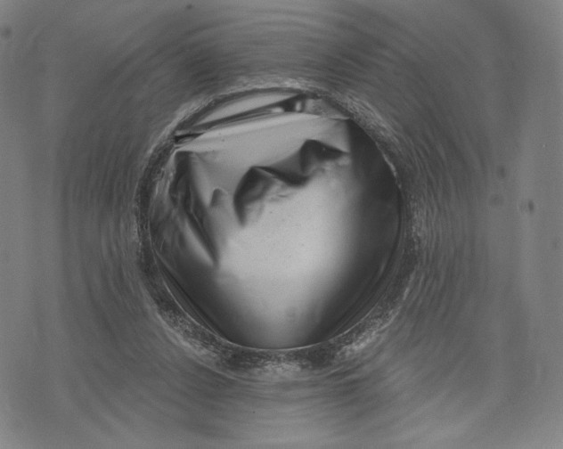 X0000071800256200607211654