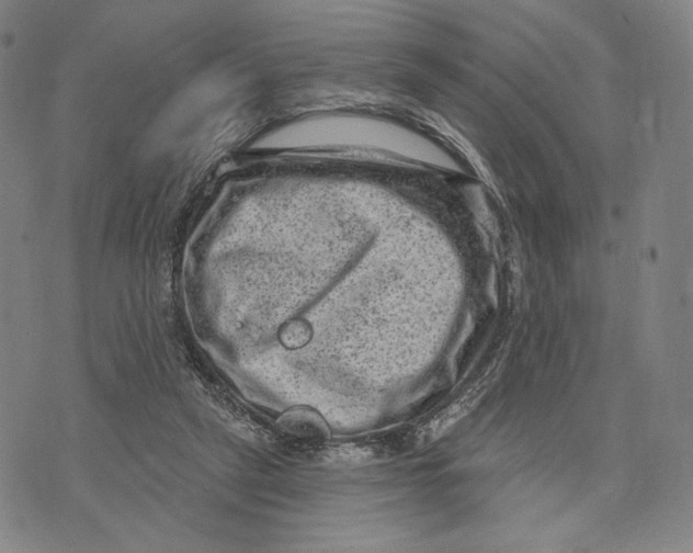 X0000071800257200607211654