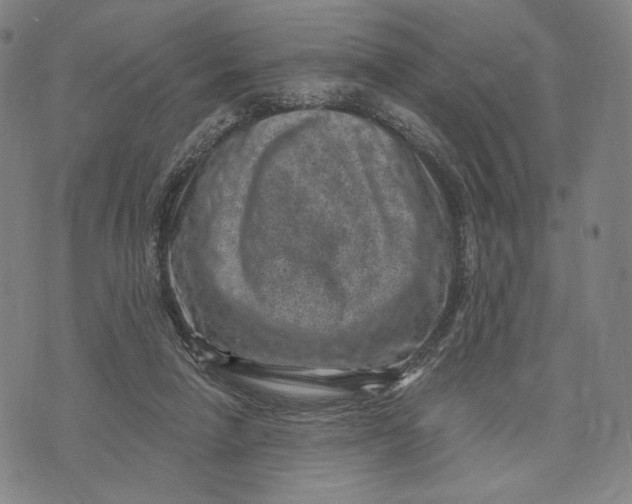 X0000071800258200607211654