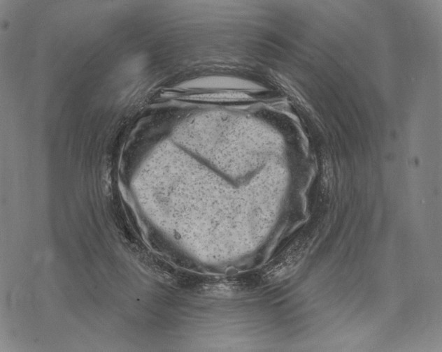 X0000071800259200607211654