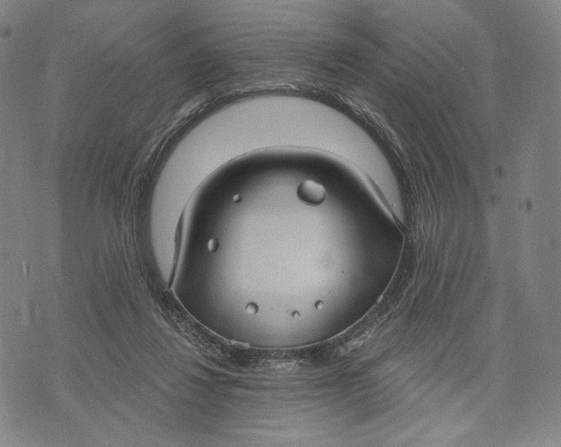 X0000071800260200607211654