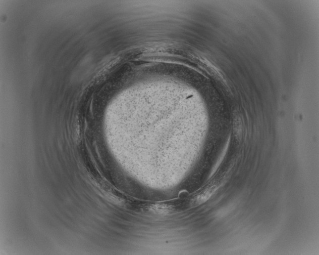 X0000071800261200607211654