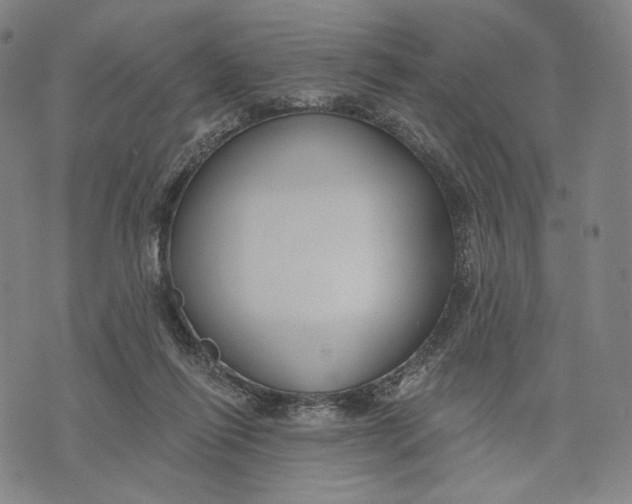 X0000071800262200607211654