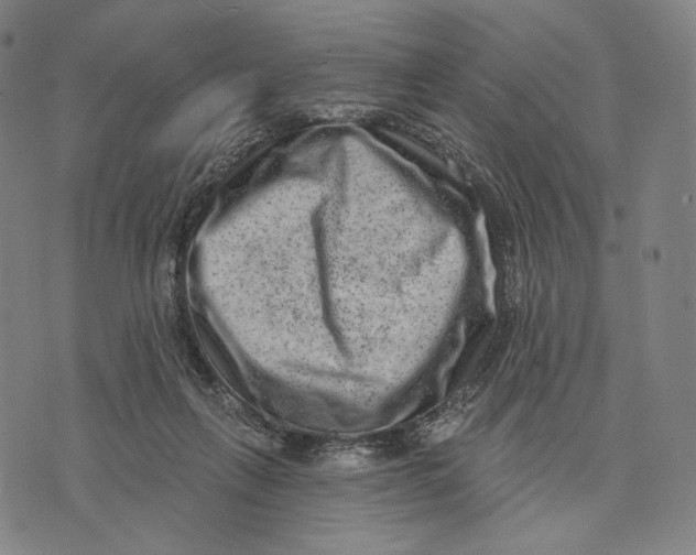 X0000071800263200607211654