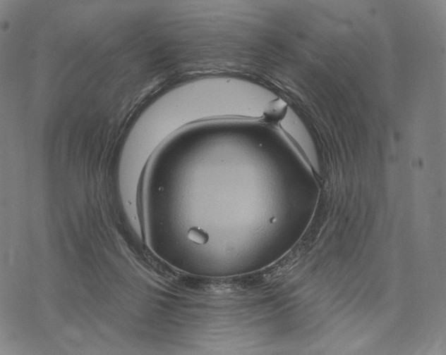 X0000071800264200607211654