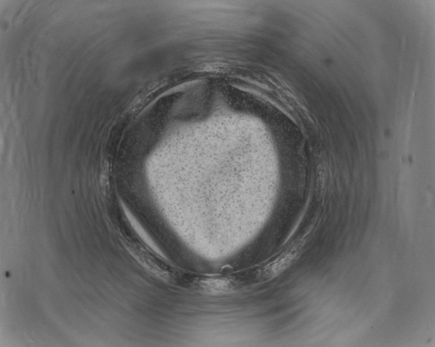 X0000071800265200607211654