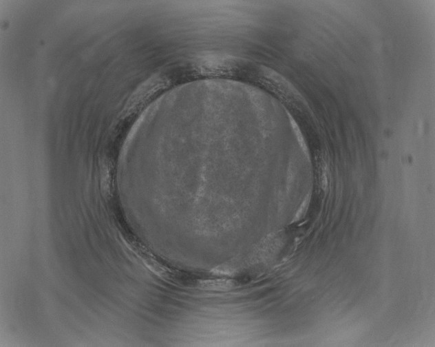 X0000071800266200607211654