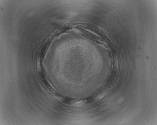 X0000071800267200607211654