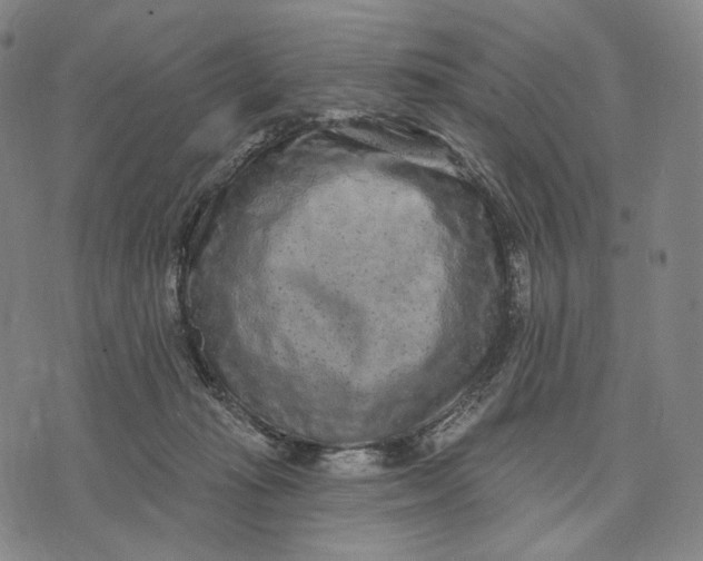 X0000071800269200607211654