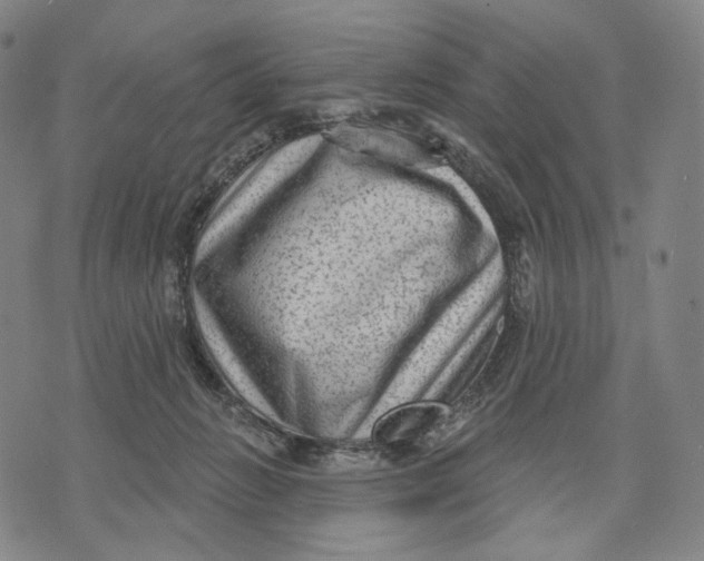 X0000071800270200607211654