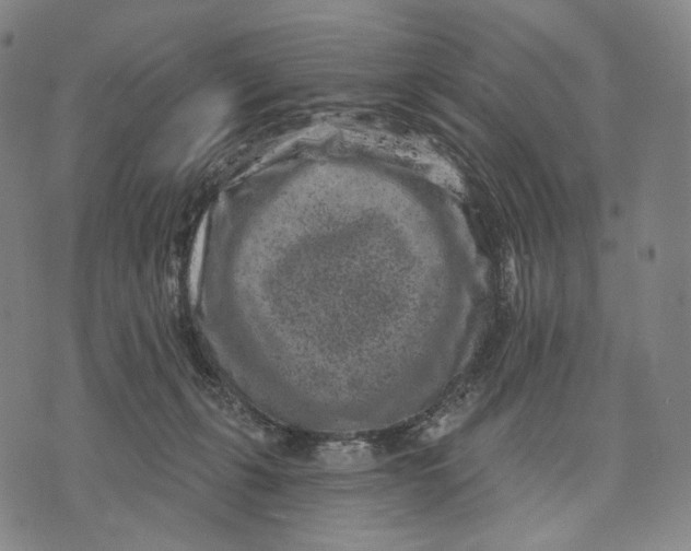 X0000071800271200607211654