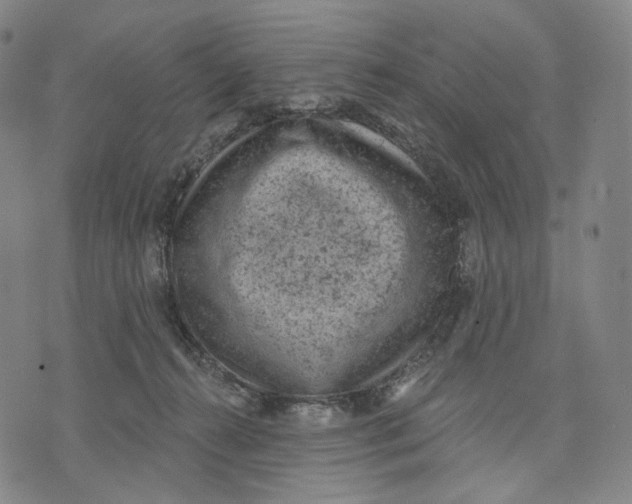 X0000071800272200607211654