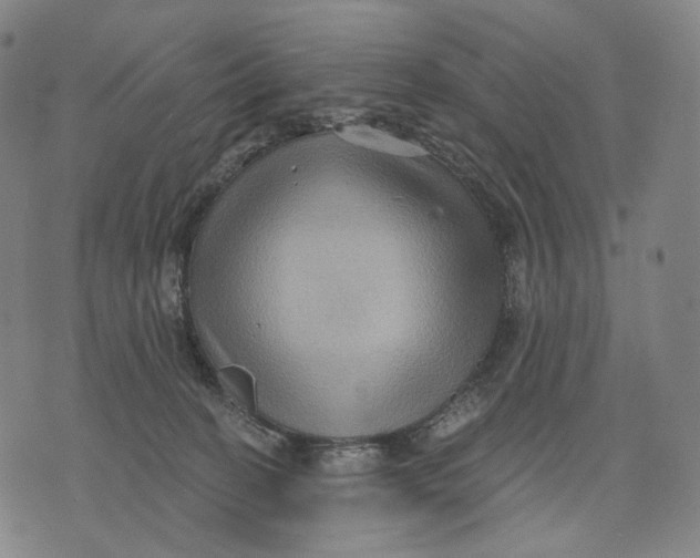 X0000071800274200607211654