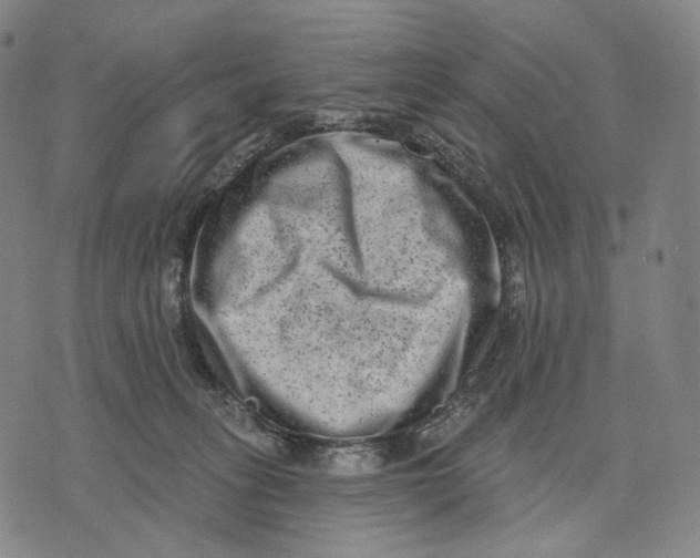 X0000071800275200607211654