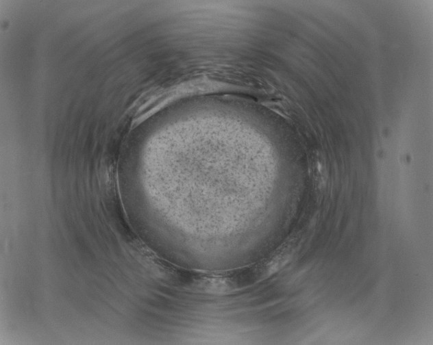 X0000071800276200607211654