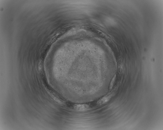 X0000071800277200607211654