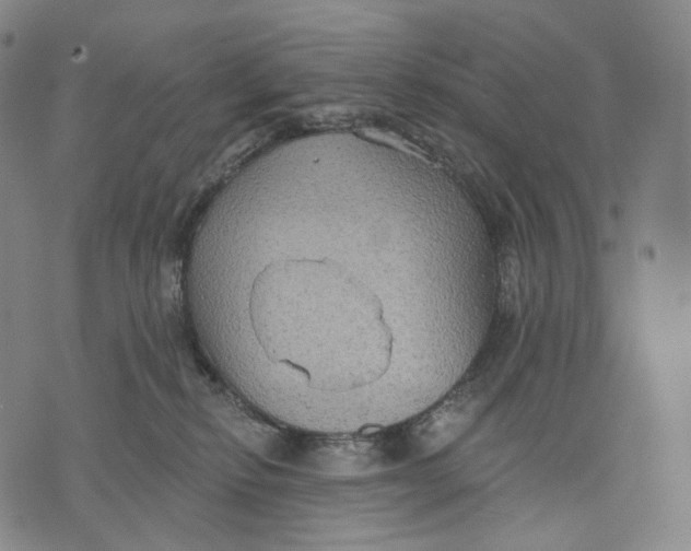 X0000071800278200607211654