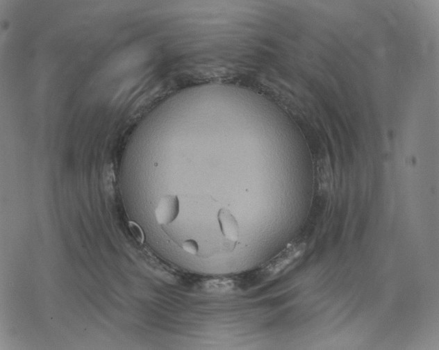 X0000071800279200607211654