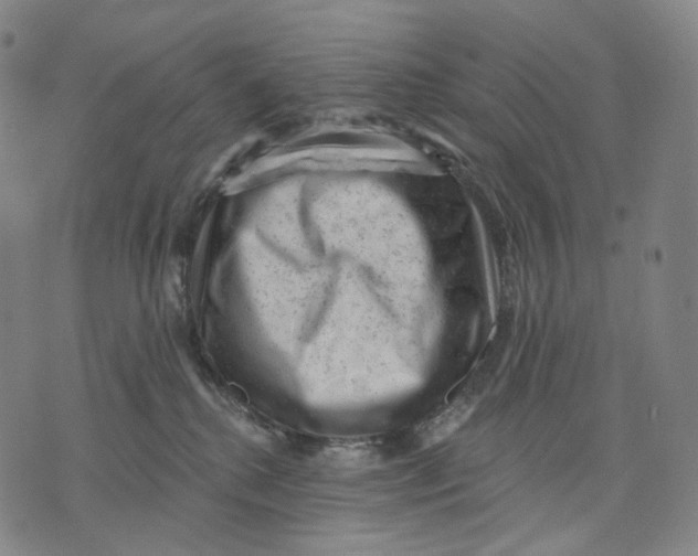 X0000071800280200607211654