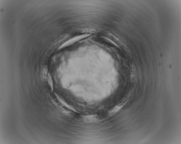 X0000071800281200607211654