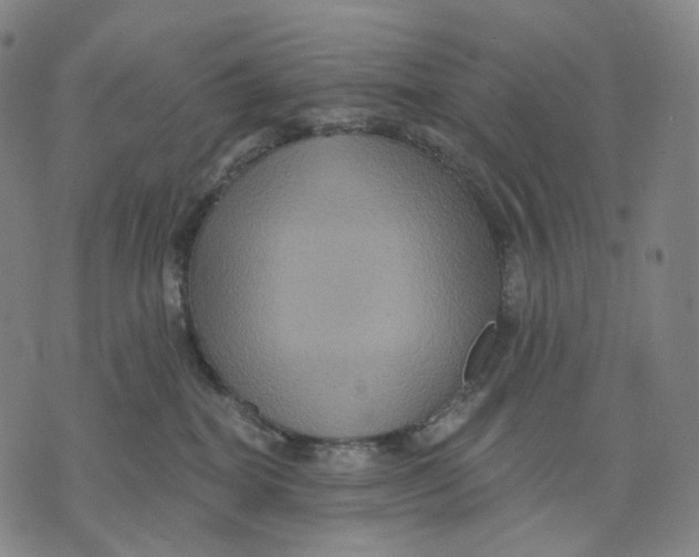 X0000071800282200607211654