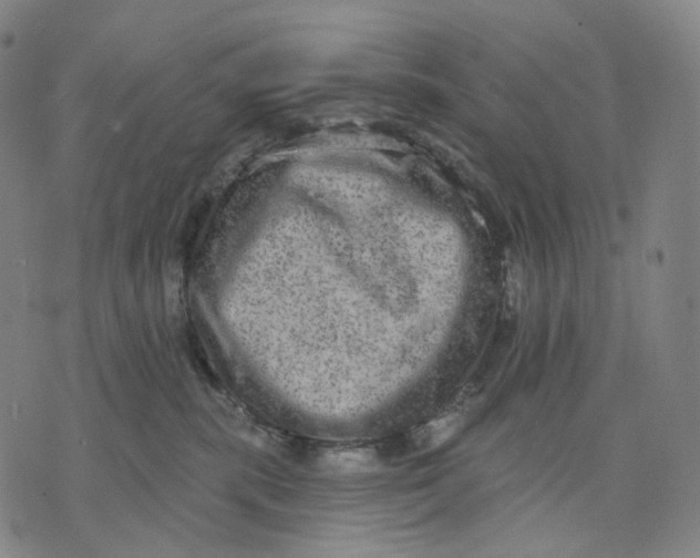 X0000071800283200607211654