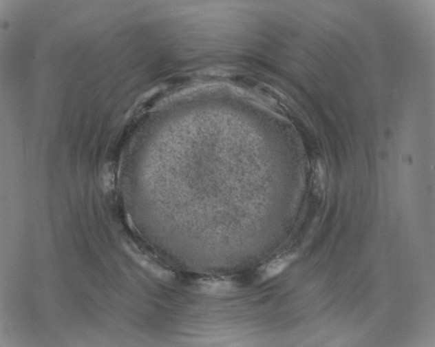 X0000071800284200607211654