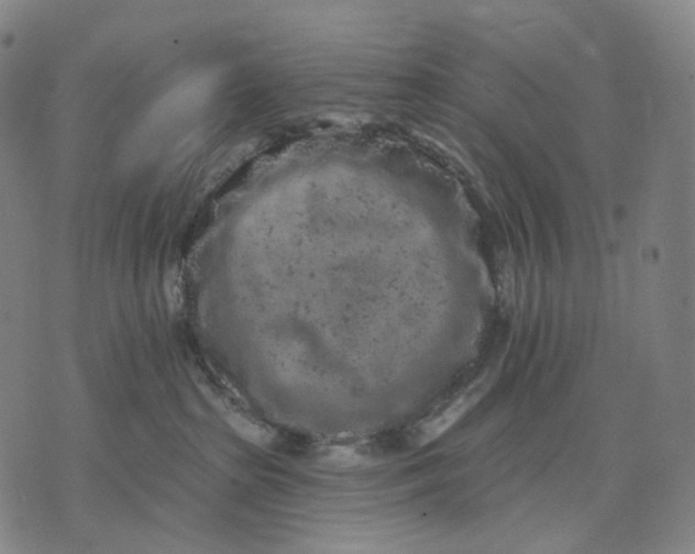 X0000071800285200607211654