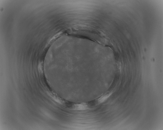 X0000071800286200607211654