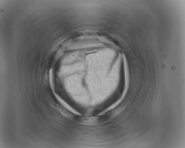 X0000071800288200607211654