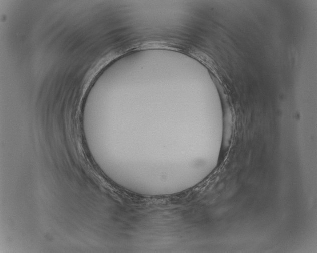 X0000071800289200607211654