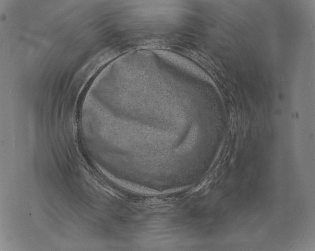 X0000071800290200607211654