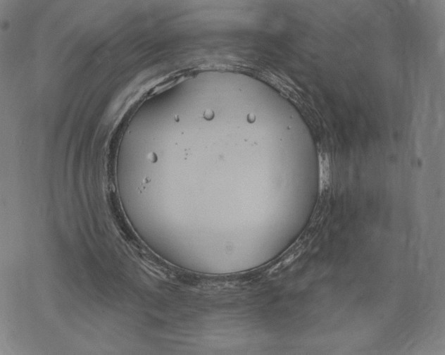 X0000071800291200607211654