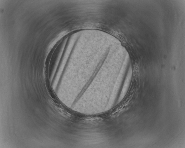 X0000071800292200607211654