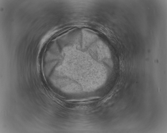 X0000071800294200607211654