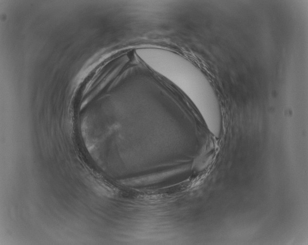 X0000071800295200607211654