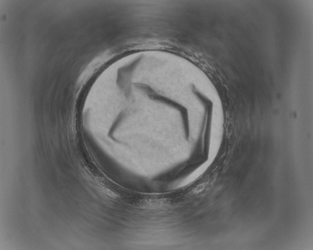 X0000071800296200607211654