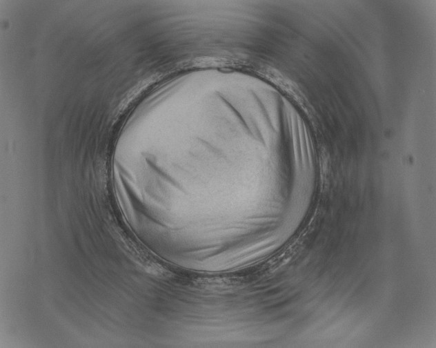 X0000071800297200607211654