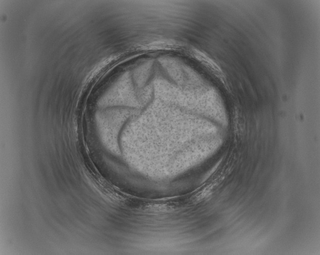 X0000071800298200607211654