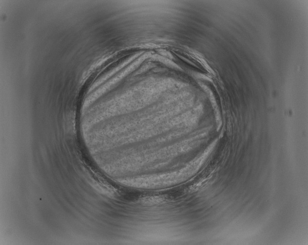 X0000071800299200607211653