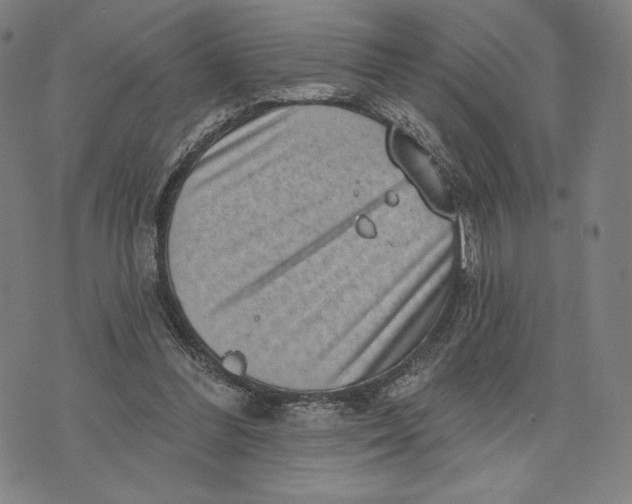 X0000071800300200607211653