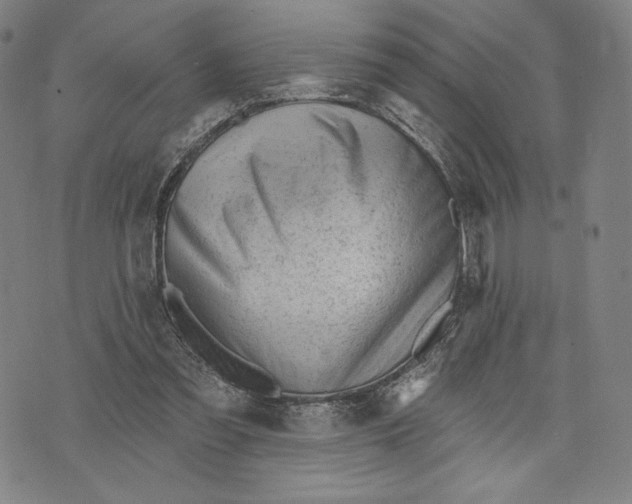 X0000071800301200607211653