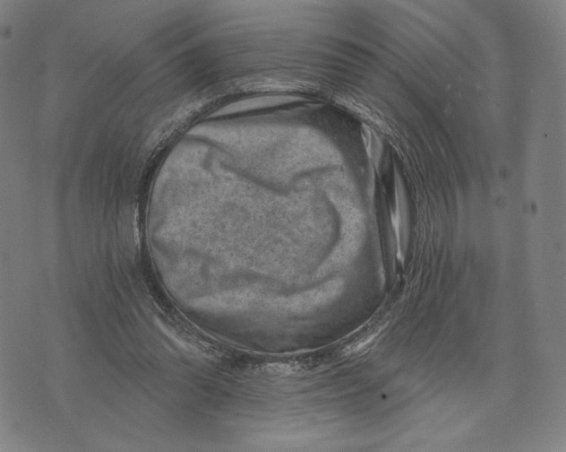 X0000071800302200607211653