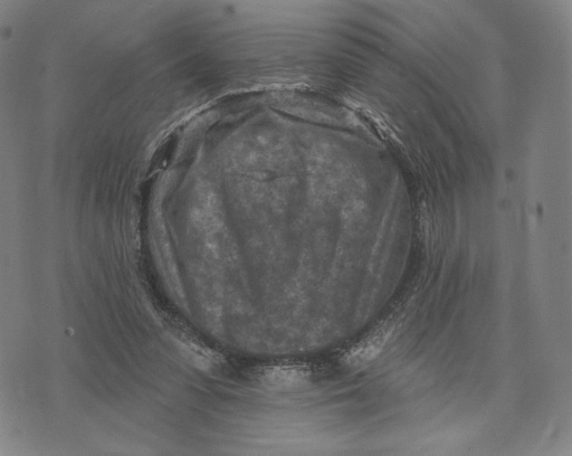 X0000071800303200607211653