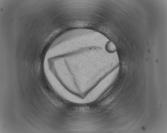 X0000071800304200607211653