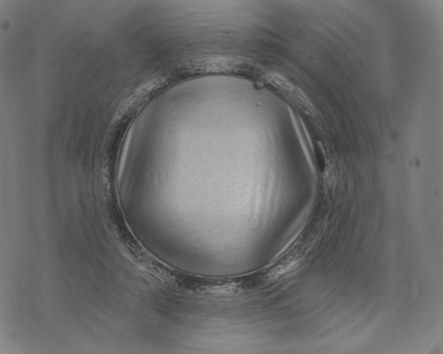 X0000071800306200607211653