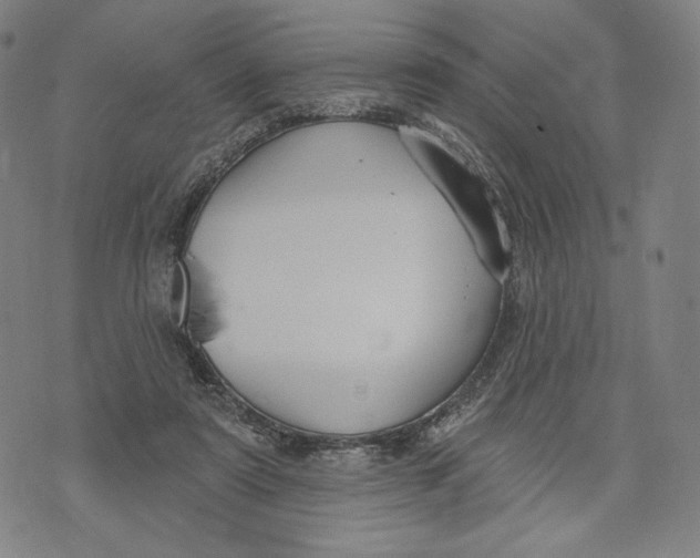 X0000071800307200607211653